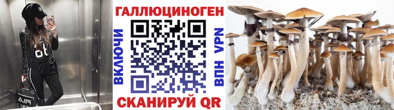 наркотики  Циолковский  Псилоцибиновые грибы Psilocybe 